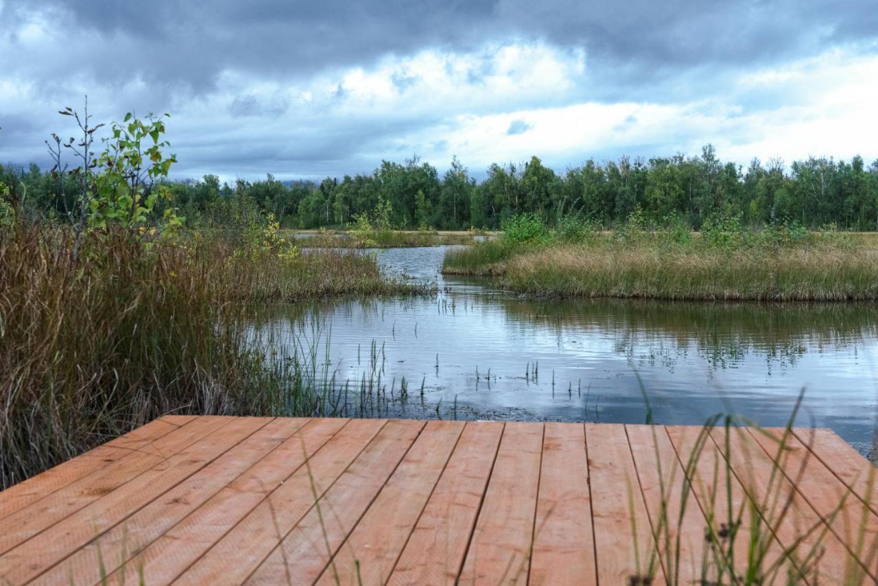 Snowgoose Pond Bed & Breakfast Palmer Eksteriør billede