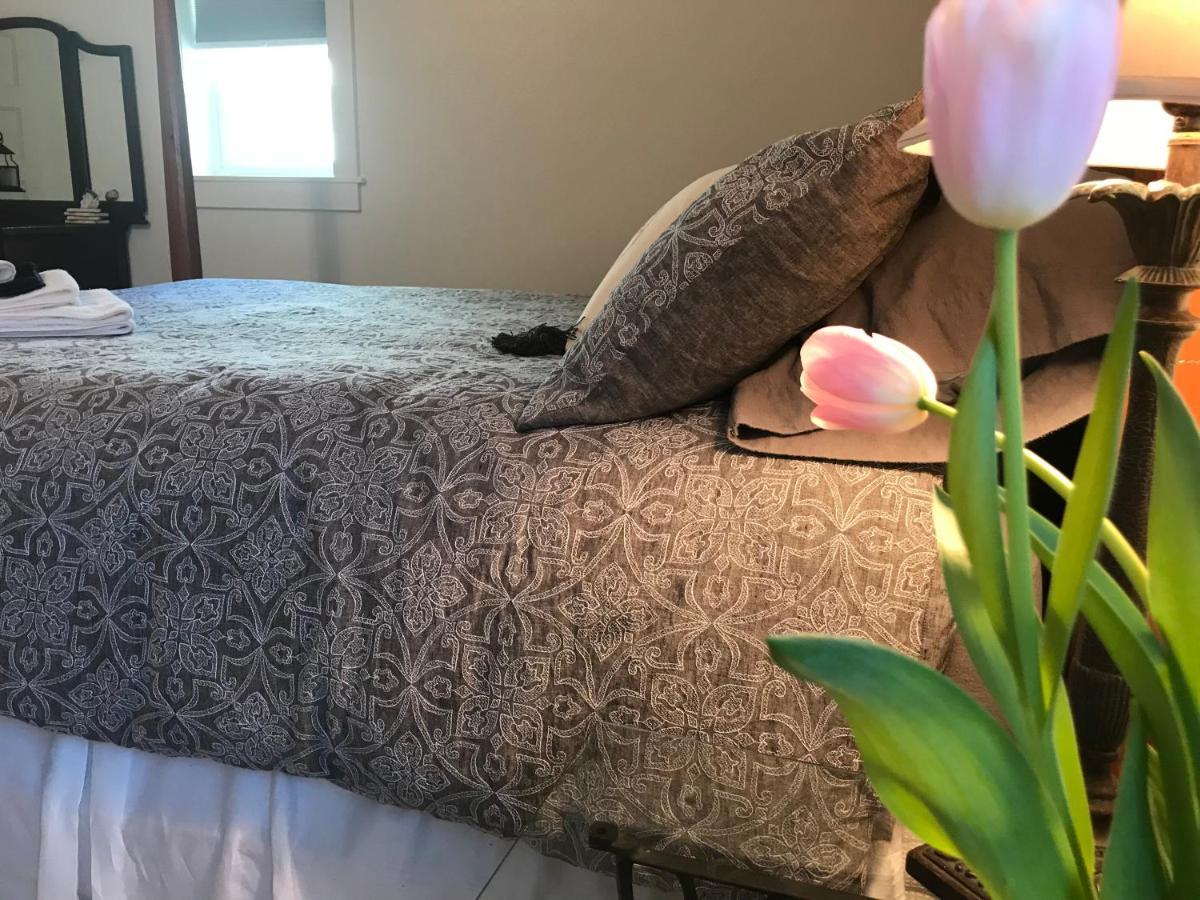 Snowgoose Pond Bed & Breakfast Palmer Eksteriør billede